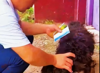 U2305001 The dog abandoned by its owner is thrown away at will like a rag. (Part 2)