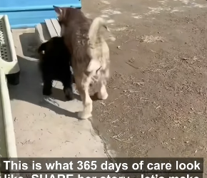 D2305010 Hope survives because people care. (Part 2)