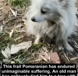 D2705019 Rescue changes two lives at once. (Part 2 )