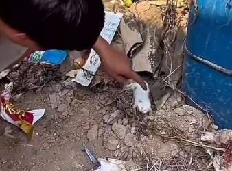F2705017 Saving lives creates real purpose. (Part 2)