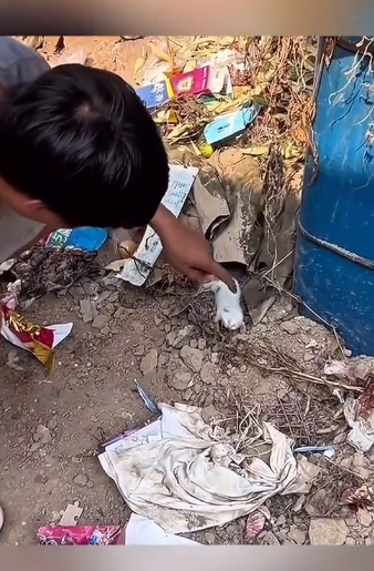 F2705017 Saving lives creates real purpose. (Part 2)