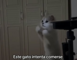 O1505013 Los animales son tan puros  (Part 2)