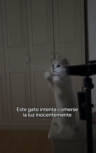 O1505013 Los animales son tan puros  (Part 2)