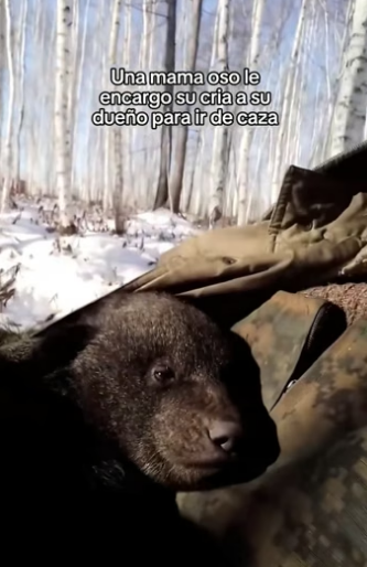 O1505016 Los animales son increibles  (Part 2)