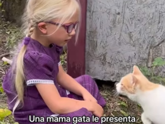 O1505019 Los animales merecen ser amados  (Part 2)