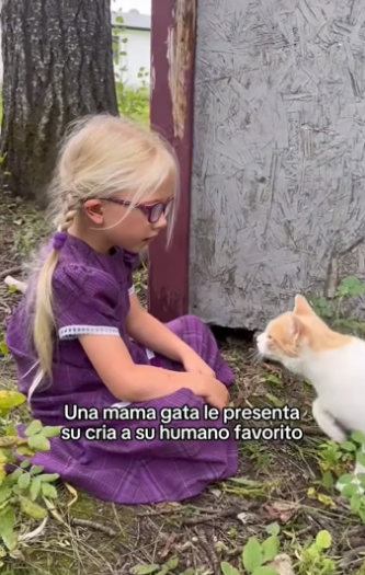 O1505019 Los animales merecen ser amados  (Part 2)