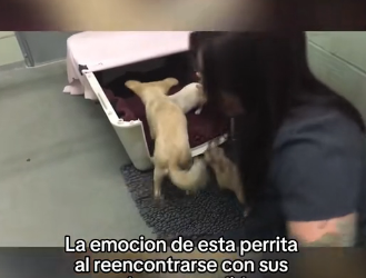 O1505024 Los animales son preciosos  (Part 2)