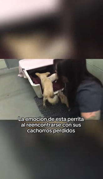 O1505024 Los animales son preciosos (Part 2)