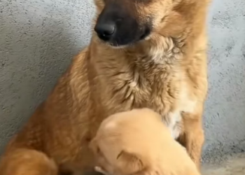 D1505017 Every life matters — but not every life gets saved. Could yours be the difference? (Part 2)