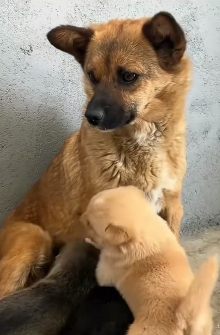 D1505017 Every life matters — but not every life gets saved. Could yours be the difference? (Part 2)