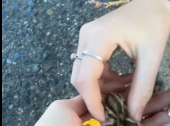 M2905006 Kindness can rescue more than one soul. (Part 1)