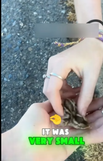 M2905006 Kindness can rescue more than one soul. (Part 1)