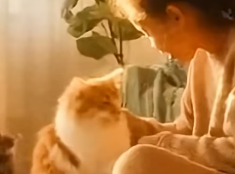 X0106003_I Rescued This Cat From Snow… What She Did During The Fire Left Me Speechless (Part 2)