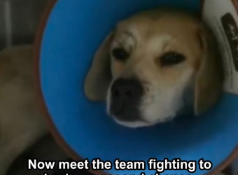D2305011 Rescue creates miracles every day. (Part 2)