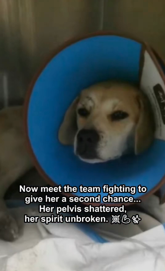 D2305011 Rescue creates miracles every day. (Part 2)